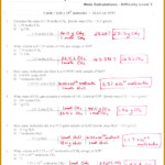 Grams To Moles Conversion Worksheet