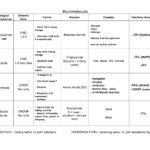 Graphic Organizer Macromolecules Chart Google Search Organic