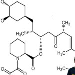 Identifying Functional Groups Worksheet With Answers Ivuyteq