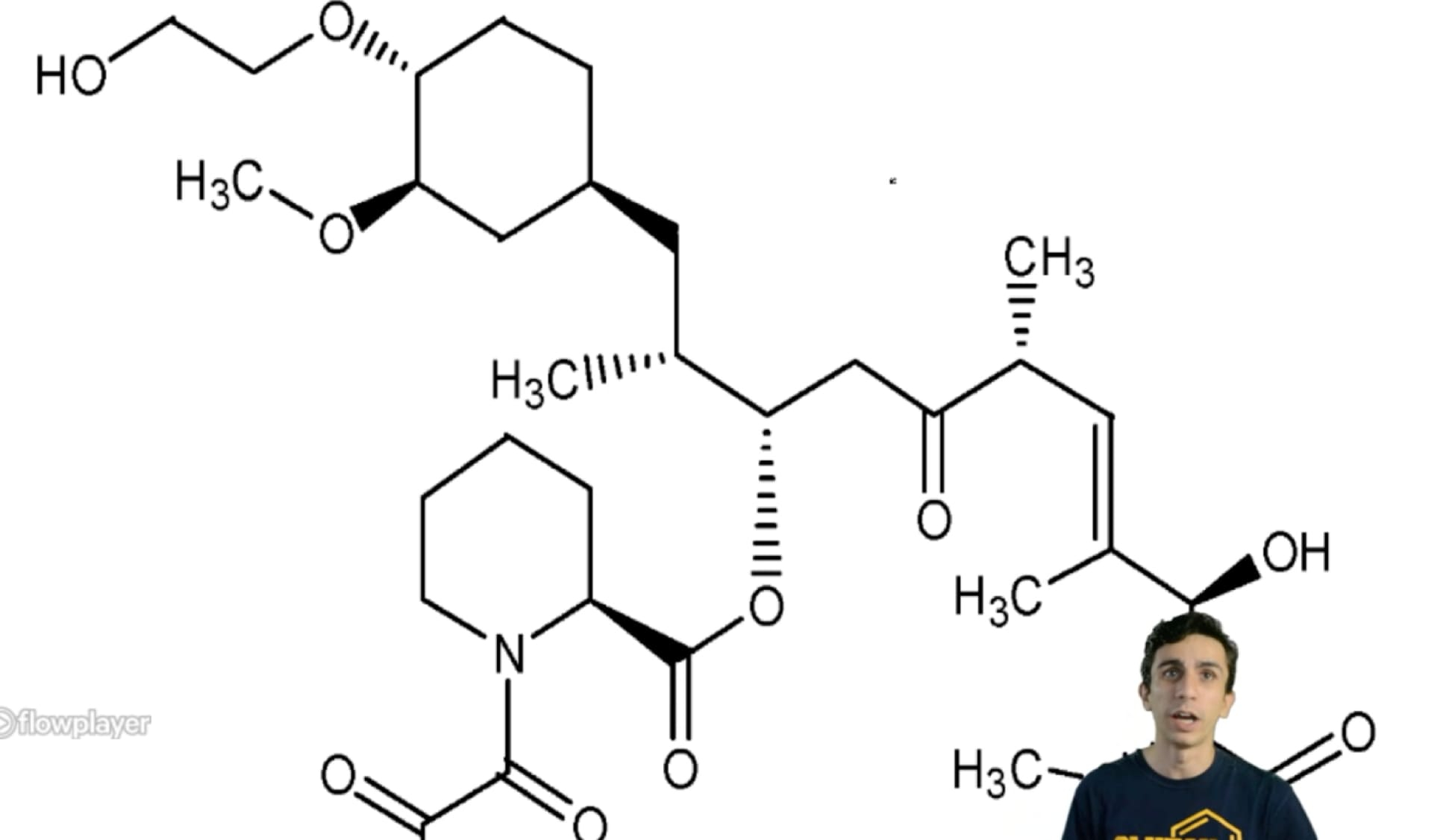 Identifying Functional Groups Worksheet With Answers Ivuyteq