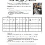 Kinetic And Potential Energy Worksheet Answers Physics Worksheet