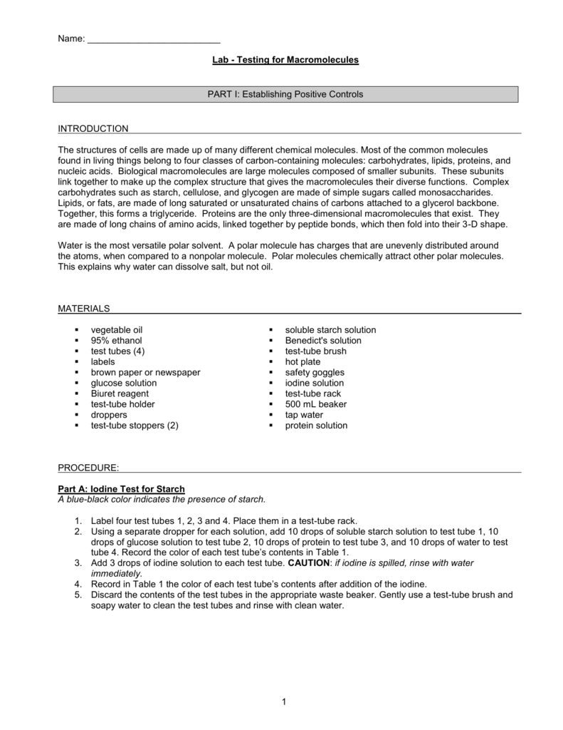 Lesson 11 LAB Testing For Macromolecules