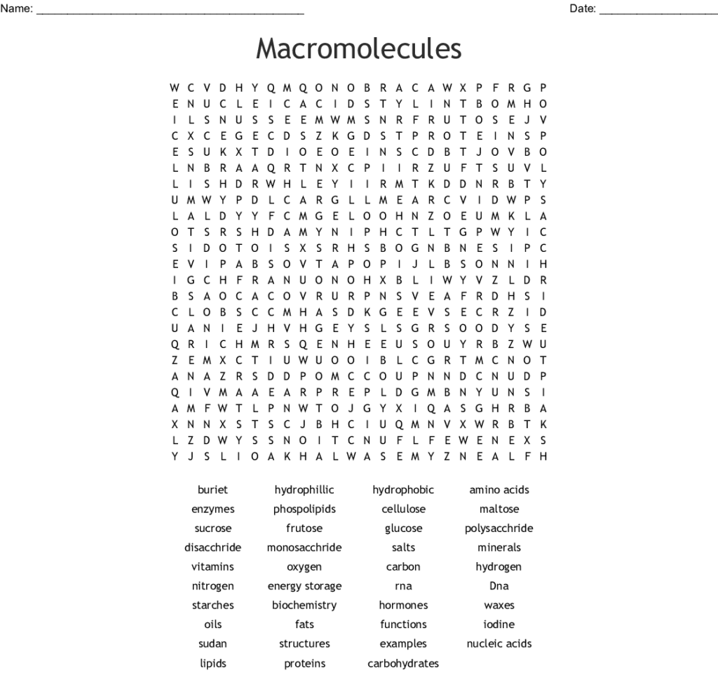 Macromolecules And Nutrition Label Worksheet Answers Ythoreccio