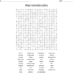 Macromolecules And Nutrition Label Worksheet Answers Ythoreccio