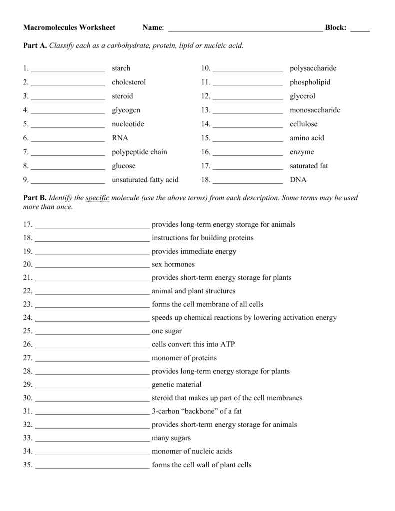 Macromolecules Worksheet 2