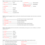 Macromolecules Worksheet 2