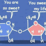 Macromolecules Worksheet 2 Answers Escolagersonalvesgui