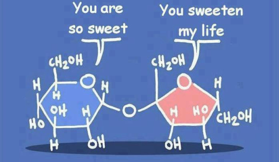 Macromolecules Worksheet 2 Answers Escolagersonalvesgui