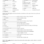 Macromolecules Worksheet 2 Macromolecules Biology Worksheet