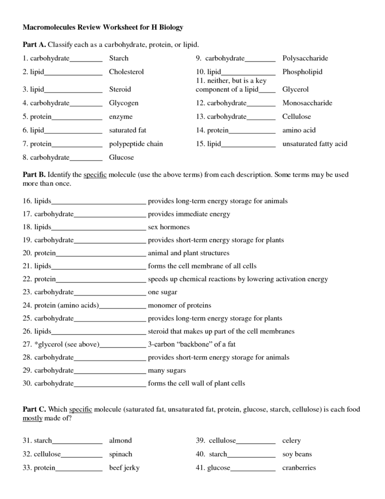 Macromolecules Worksheet 2 Macromolecules Biology Worksheet 