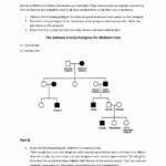 Math Worksheet Answer Key Finder