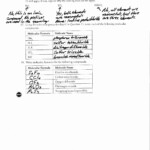 Molecular Compounds Worksheet Answers Covalent Bonding Worksheet