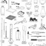 Mr Forde Life Science Review Common Lab Equipment