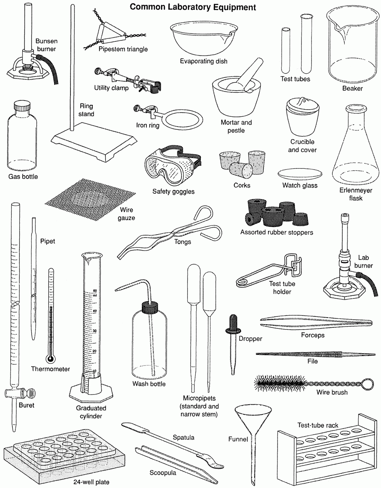 Mr Forde Life Science Review Common Lab Equipment