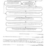 Mythbuster Scientific Method Worksheet