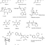 Naming Compounds And Formula Writing Worksheet Naming Chemical