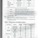 Naming Ionic Compounds Worksheet Pogil My Worksheet