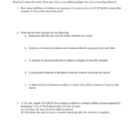 Net Ionic Equations Advanced Chem Worksheet 10 4 Answer Key Tessshebaylo