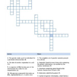 Net Ionic Equations Advanced Chem Worksheet 10 4 Answers Db excel