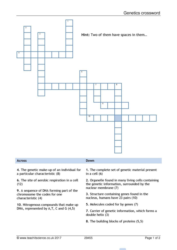 Net Ionic Equations Advanced Chem Worksheet 10 4 Answers Db excel