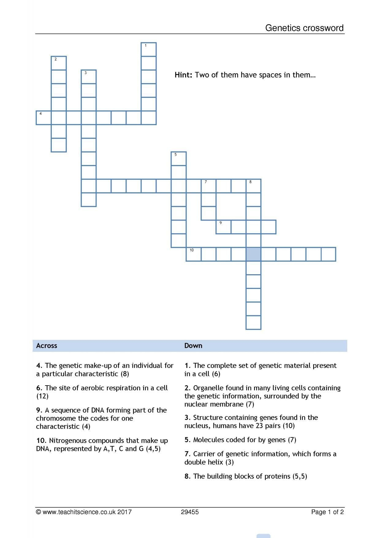 Net Ionic Equations Advanced Chem Worksheet 10 4 Answers Db excel