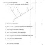 Official Life Cycle Of A Star Worksheet