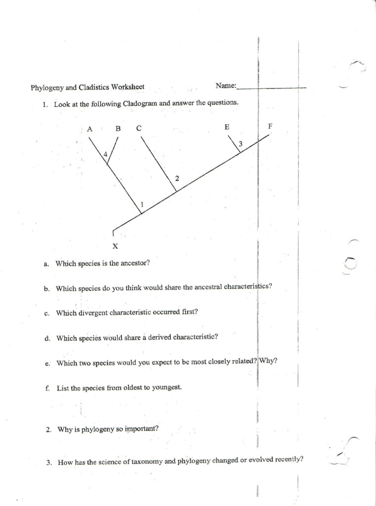 Official Life Cycle Of A Star Worksheet