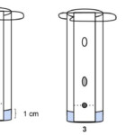 OntaOnta Chemistry 11