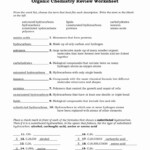 Organic Chemistry Worksheet With Answers Awesome 15 Best Of Naming