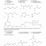 Organic Chemistry Worksheet With Answers Beautiful Functional Group