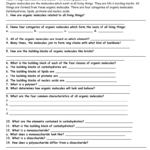 Organic Molecules Worksheet Review