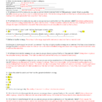 Periodic Trends Practice Answer Key