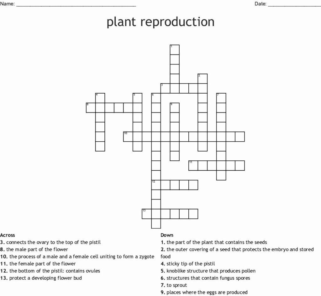 Plant Reproduction Worksheet Answers Lovely Plant Lifecycle Word Search 