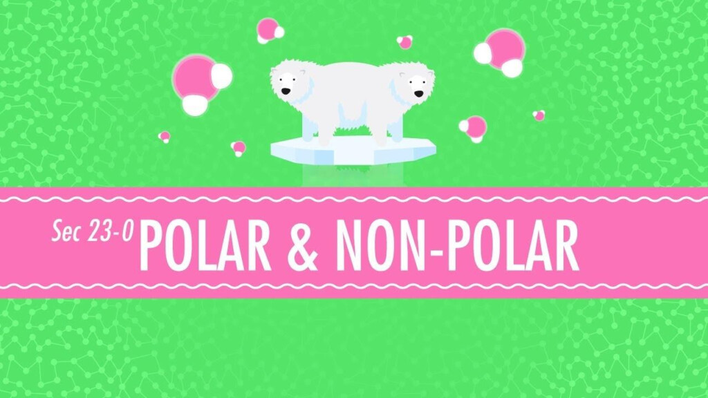 Polar Non Polar Molecules Crash Course Chemistry PBS LearningMedia