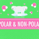 Polar Non Polar Molecules Crash Course Chemistry PBS LearningMedia