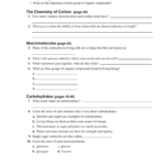 Prentice Hall Biology Worksheets