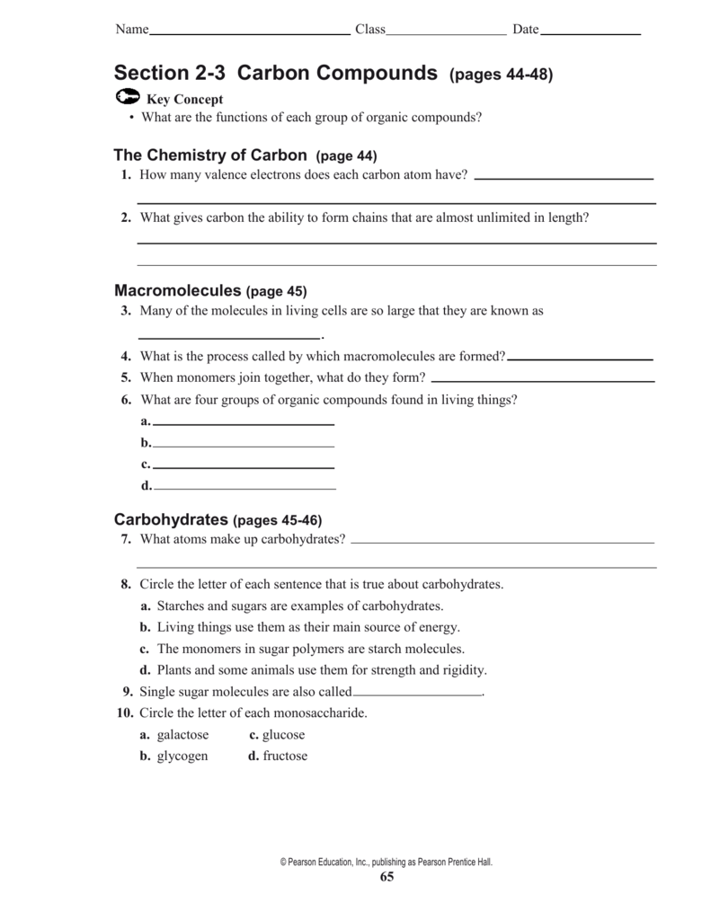 Prentice Hall Biology Worksheets