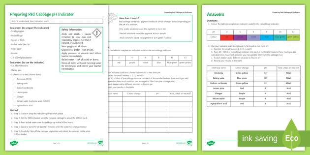 Preparing Red Cabbage Indicator Investigation Instruction Sheet