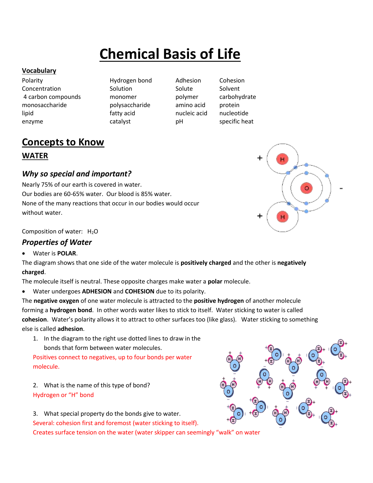 Savvas Realize Carbon Compounds Answer Key My PDF Collection 2021