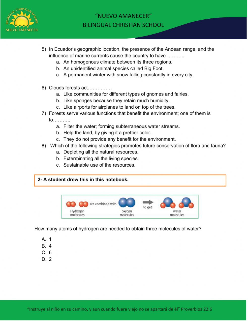 Science Diagnostic Test 8th Grade Worksheet