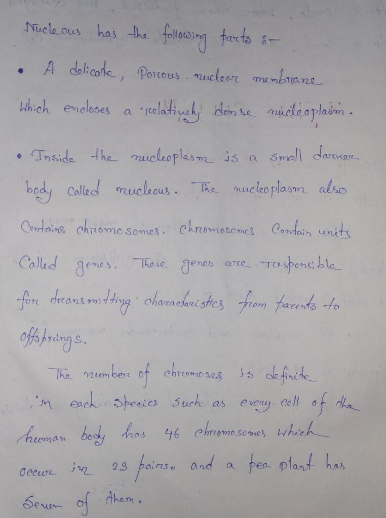 Selina Concise Class 6 Biology Chapter 3 Cell The Structure And 