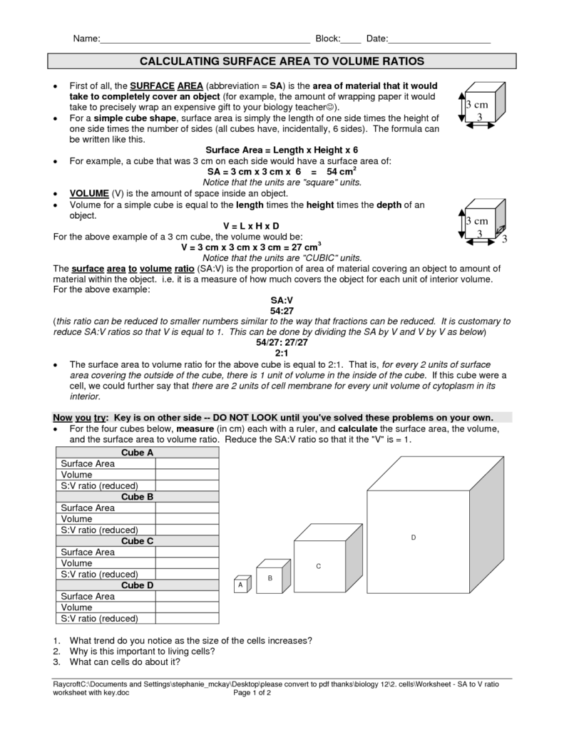 Surface Area To Volume Ratio Cells Worksheet Google Search Volume 