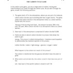 The Carbon Cycle Worksheet Answers Education Template