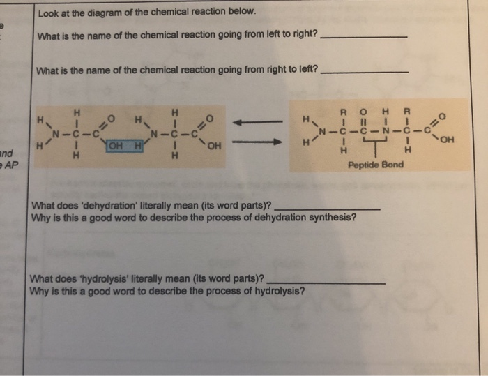 What Is The Definition Of Word Equation In Chemistry Tessshebaylo