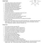 Worksheet Carbon And Nitrogen Cycle