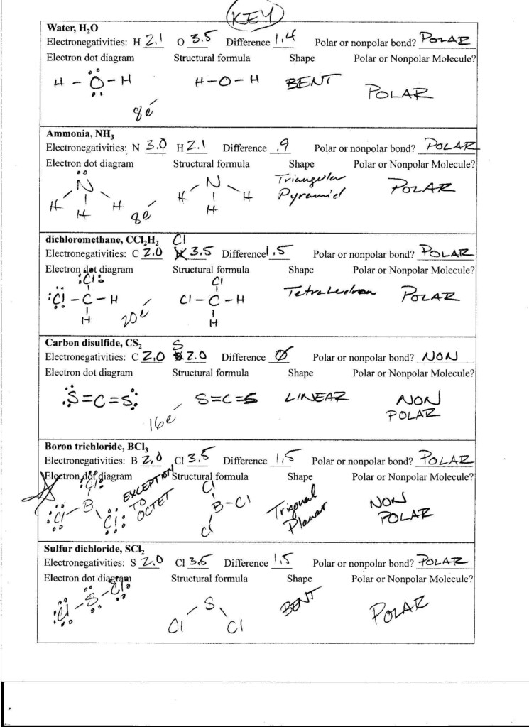 Worksheet Polarity Of Bonds Answers Promotiontablecovers