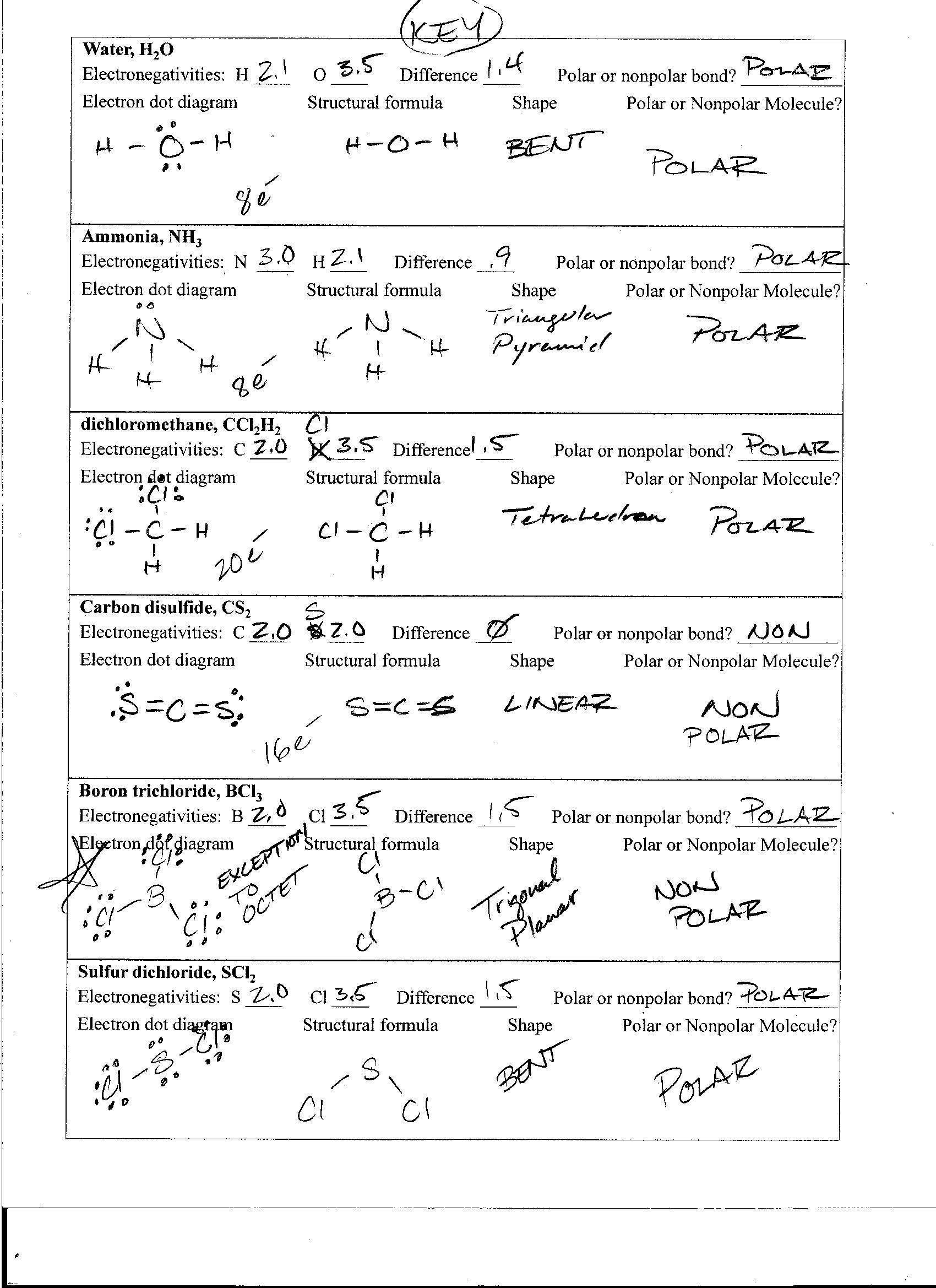 Worksheet Polarity Of Bonds Answers Promotiontablecovers