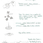 Worksheet Polarity Of Bonds Answers Worksheet