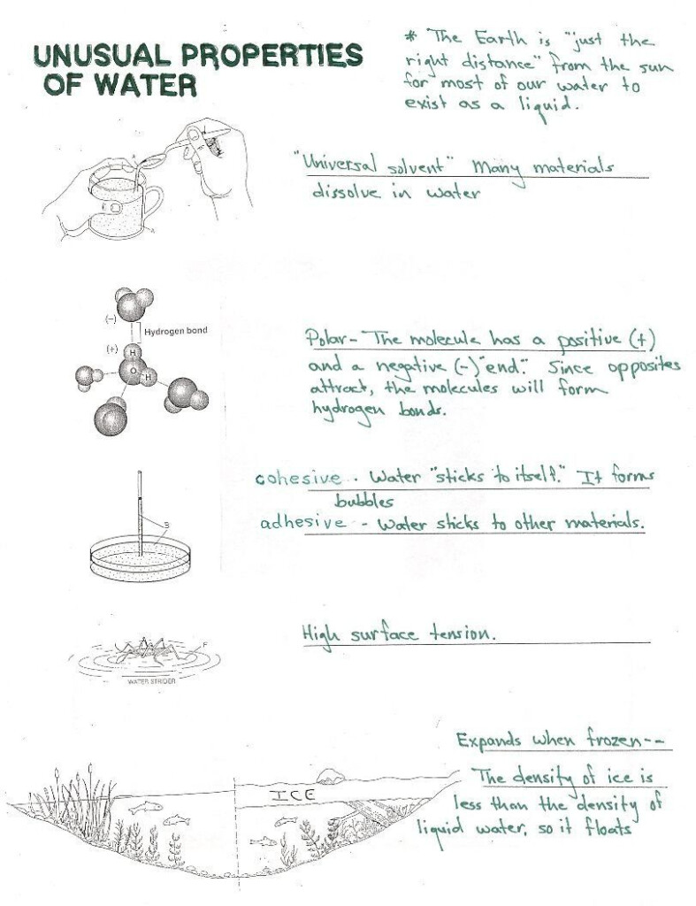 Worksheet Polarity Of Bonds Answers Worksheet