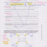 Worksheet Prentice Hall Chemistry Worksheet Answers Grass Fedjp